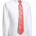 KissTies Mens Necktie Paisley Tie + Gift Box