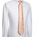 KissTies Mens Necktie Paisley Tie + Gift Box