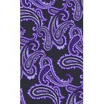 KissTies Mens Necktie Paisley Tie + Gift Box