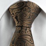 KissTies Mens Necktie Paisley Tie + Gift Box