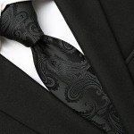 KissTies Mens Necktie Paisley Tie + Gift Box