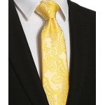 KissTies Mens Necktie Paisley Tie + Gift Box