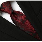 KissTies Mens Necktie Paisley Tie + Gift Box