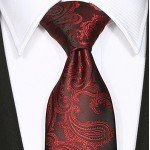KissTies Mens Necktie Paisley Tie + Gift Box