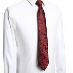 KissTies Mens Necktie Paisley Tie + Gift Box