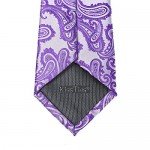 KissTies Mens Necktie Paisley Tie + Gift Box