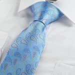 KissTies Mens Necktie Paisley Tie + Gift Box