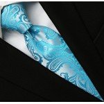 KissTies Mens Necktie Paisley Tie + Gift Box