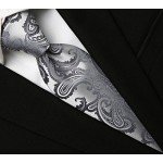 KissTies Mens Necktie Paisley Tie + Gift Box