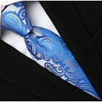 KissTies Mens Necktie Paisley Tie + Gift Box