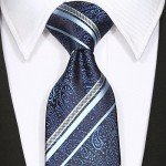 KissTies Mens Necktie Paisley Tie + Gift Box