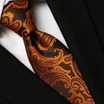 KissTies Mens Necktie Paisley Tie + Gift Box