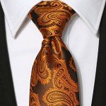 KissTies Mens Necktie Paisley Tie + Gift Box