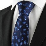 KissTies Mens Necktie Paisley Tie + Gift Box