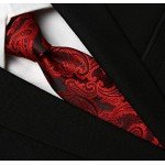 KissTies Mens Necktie Paisley Tie + Gift Box