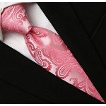 KissTies Mens Necktie Paisley Tie + Gift Box