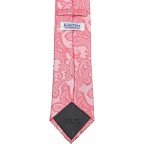 KissTies Mens Necktie Paisley Tie + Gift Box