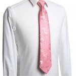 KissTies Mens Necktie Paisley Tie + Gift Box