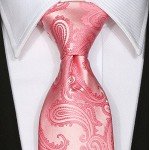 KissTies Mens Necktie Paisley Tie + Gift Box