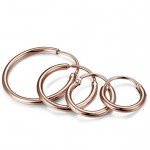 LOYALLOOK 4 Pairs Stainless Steel Basic Small Large Endless Hoop Earrings Silver Golden Rose Tone Hoop Earrings 10-20MM