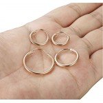 LOYALLOOK 4 Pairs Stainless Steel Basic Small Large Endless Hoop Earrings Silver Golden Rose Tone Hoop Earrings 10-20MM