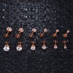 MDFUN 18K Rose Gold Plated Round Clear Cubic Zirconia Stud Earring Pack of 6 Pairs (6 Pairs)