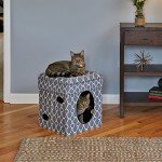 MidWest Curious Cat Cube, Cat House/Cat Condo