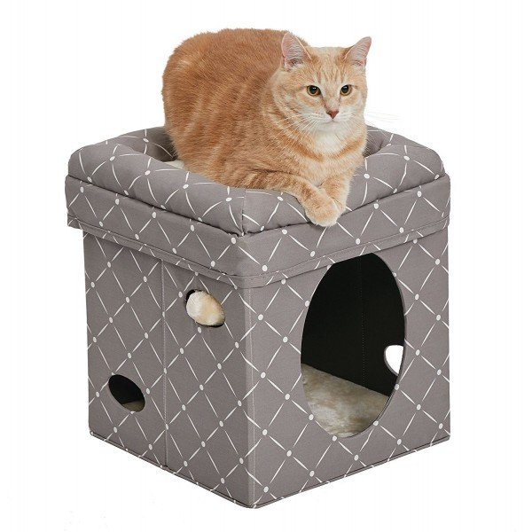 MidWest Curious Cat Cube, Cat House/Cat Condo