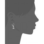 Napier Color Declaration Swarovski Lever-Back Drop Earrings