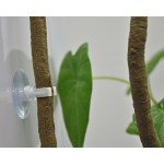 Niteangel Jungle Vines, Reptile Habitat Décor