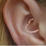 OUFER Body Piercing Jewelry Heart Sharped Right Closure Daith Cartilage Tragus Helix Earrings 16 Gauge