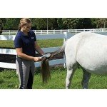 Oster ECS Mane and Tail Brush