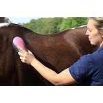 Oster Equine Care Series 7-Piece Grooming Kit