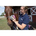 Oster Equine Care Series 7-Piece Grooming Kit