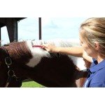 Oster Equine Care Series 7-Piece Grooming Kit