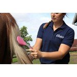 Oster Equine Care Series 7-Piece Grooming Kit