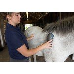 Oster Equine Care Series 7-Piece Grooming Kit