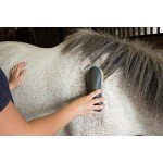 Oster Equine Care Series 7-Piece Grooming Kit