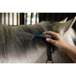 Oster Equine Care Series 7-Piece Grooming Kit