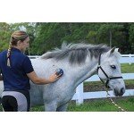 Oster Equine Care Series 7-Piece Grooming Kit