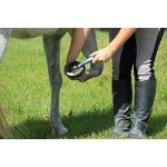 Oster Equine Care Series 7-Piece Grooming Kit