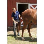 Oster Equine Care Series 7-Piece Grooming Kit