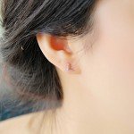Paialco Rose Gold Plated Sterling Silver CZ Initial Letter Stud Earrings Alphabet A-Z