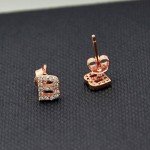 Paialco Rose Gold Plated Sterling Silver CZ Initial Letter Stud Earrings Alphabet A-Z