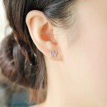 Paialco Rose Gold Plated Sterling Silver CZ Initial Letter Stud Earrings Alphabet A-Z