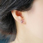 Paialco Rose Gold Plated Sterling Silver CZ Initial Letter Stud Earrings Alphabet A-Z