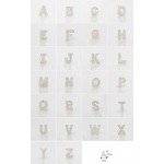 Paialco Rose Gold Plated Sterling Silver CZ Initial Letter Stud Earrings Alphabet A-Z