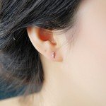 Paialco Rose Gold Plated Sterling Silver CZ Initial Letter Stud Earrings Alphabet A-Z