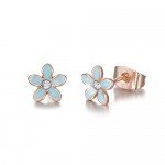 Rose Gold Plated Stainless Steel Mixed Color Cute Pineapple Mouse Love Parrot Ladybug Stud Earrings Set