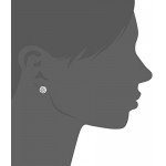 Sterling Silver Round Cut Cubic Zirconia Stud Earrings